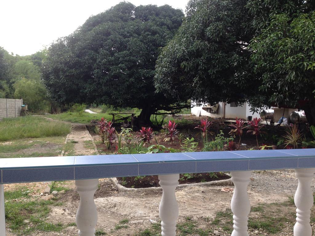 Mangoes Place Moalboal Buitenkant foto